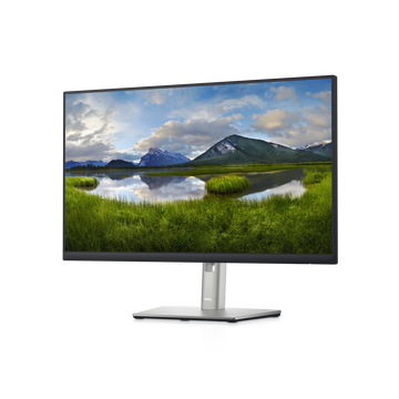 Монитор Dell Technologies P2422HE 23.8-inch черный