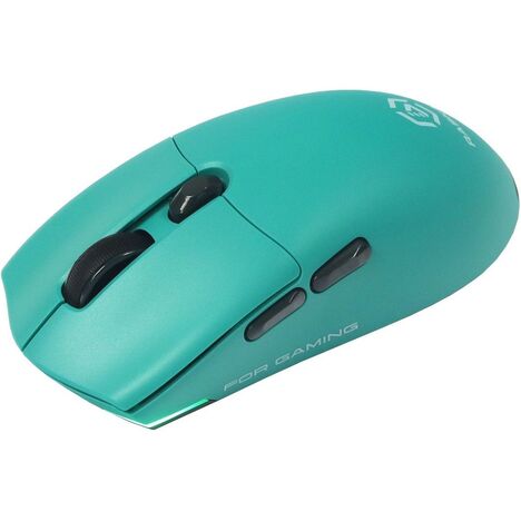 Мышь Raskat Мышь MG006TR