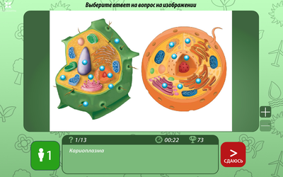 OC3 ОСӠ, Био IQ 3.1 (электронная лицензия на 1 рабочее место на 5 лет),