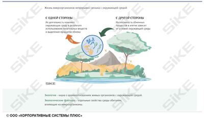 ООО «Корпоративные системы Плюс» Электронный курс Общая микробиология ГЛАВА 3, Экология микроорганизмов (лицензия), базовая версия