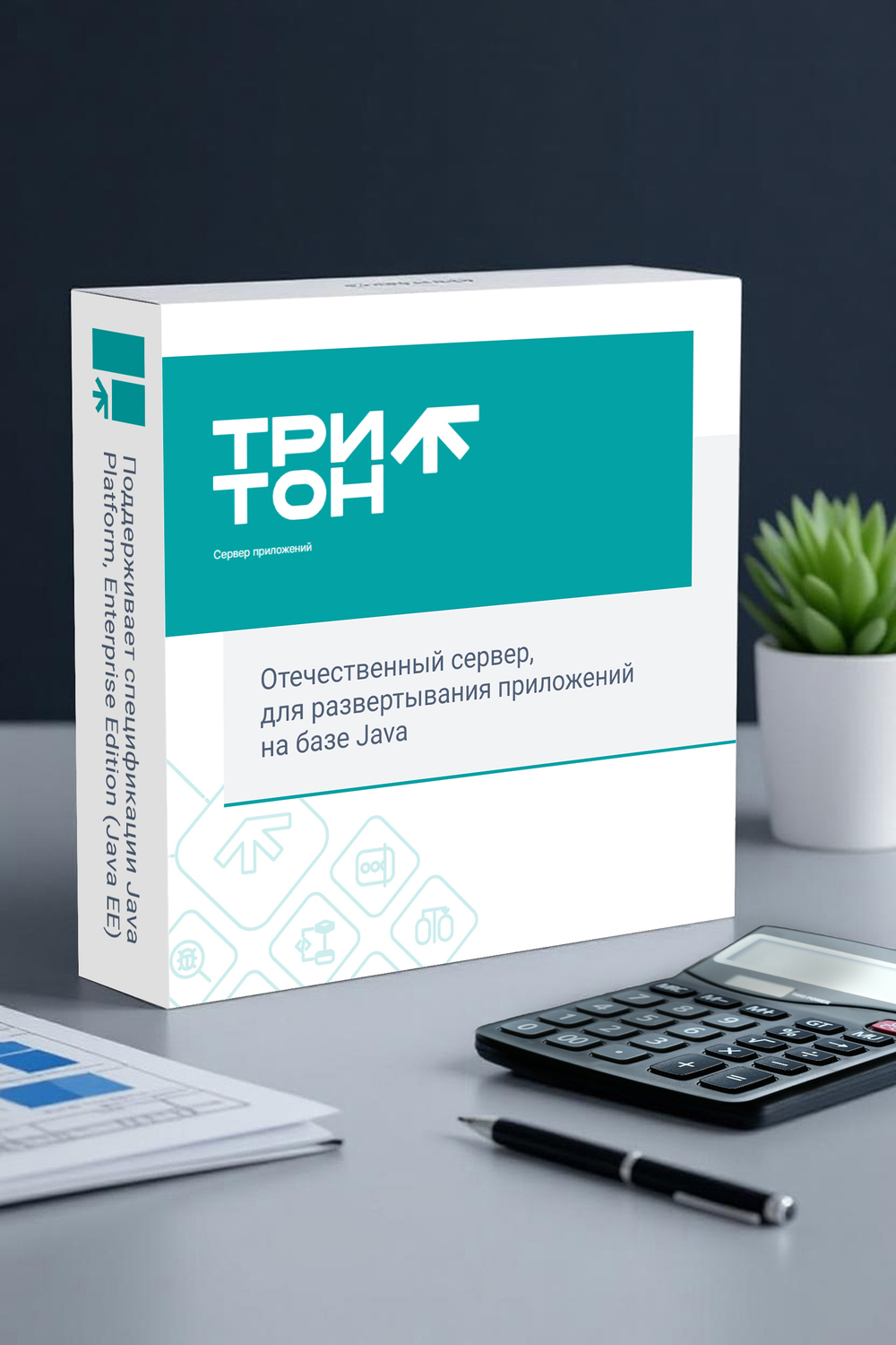 Визардсофт Тритон