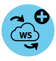 4D Web Services Expansion 15 (обновление), Unlimited v17 &gt; v18 - v19