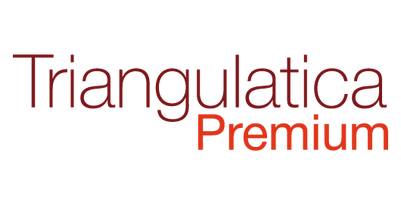 Triangulatica Premium (обновление), Стандарт на одно рабочее место (обновление до следующей мажорной версии)