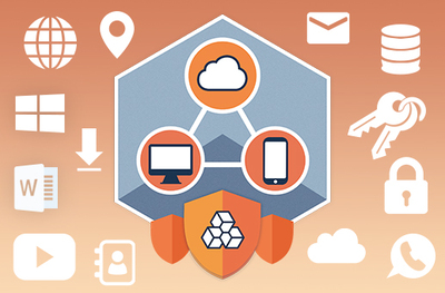 ElcomSoft Co.Ltd Elcomsoft Premium Forensic Bundle (лицензия, включающая EDPR), новая лицензия на 20 агентов для конечного пользователя на 3 года