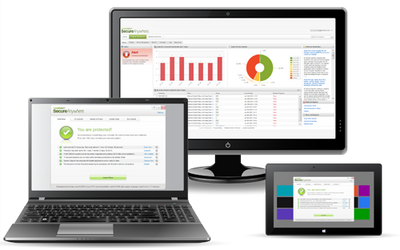 Webroot Inc. Webroot SecureAnywhere Business Endpoint Protection (лицензия на 1 год), Количество конечных точек
