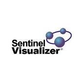 FMS Sentinel Visualizer