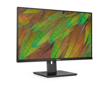 Монитор Philips 32B1U3900 31.5-inch черный