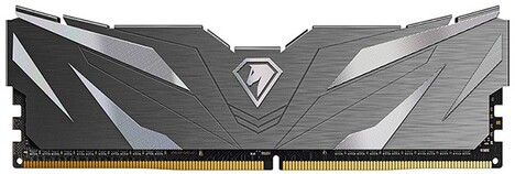 Оперативная память Netac DDR4  8GB, NTSWD4P26SP-08K, RTL