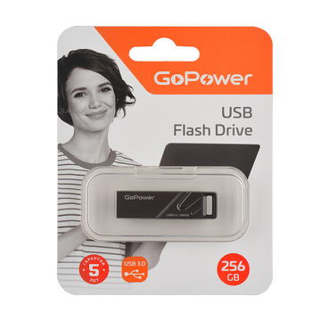 Флешка GoPower TITAN 256GB