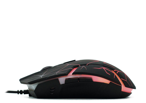 Мышь Oklick Мышь 701G 1884623, цвет черный