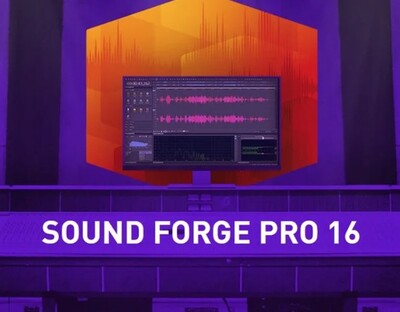 MAGIX SOUND FORGE Professional 14 (обновление), Suite ESD Site