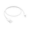 

Lightning to USB Cable (0.5 m)