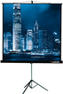 

Экран Lumien Master View LMV-100109