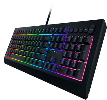 Razer Cynosa V2 RZ03-03400700-R3R1