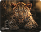Cactus Игровой коврик Leopard CS-MP-D06S