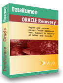 DataNumen Inc. Oracle Recovery (лицензия),