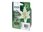 

Картридж светло-серый Epson C13T05994010