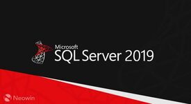 Microsoft SQL Server CAL 2019 (бессрочная лицензия), Single OLV NL Each Additional Product Device