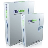 ByStorm FileSure Defend Windows