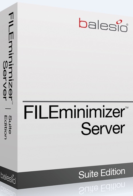 balesio AG balesio FILEminimizer Server (лицензии), Лицензия Professional (до 2 TB)