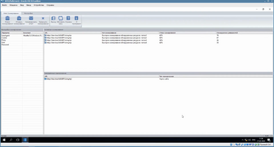 ИРББИ Irbby Web Scanner (электронная лицензия на 1 ПК на 1 год),