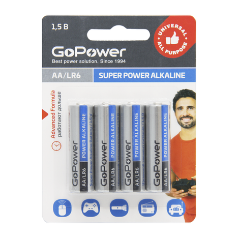 Аккумулятор для компьютерной техники GoPower Батарея Alkaline LR6
