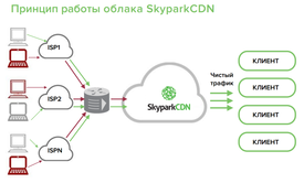 SkyparkCDN DDOS Protection (лицензия Enterprise на 1 год), 20 лицензий