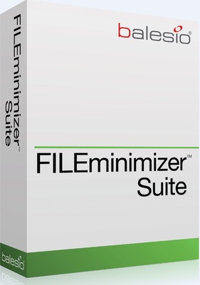 balesio AG FILEminimizer Suite (обновление Premium Pack), Количество лицензии