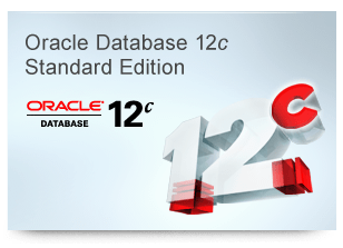 Oracle Database Standard Edition 2