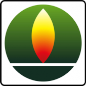 Kesa-aladin (лицензия), Light