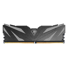 Оперативная память Netac DDR5  16GB, NTSWD5P60SP-16K
