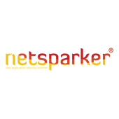 Netsparker Standard