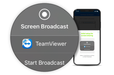 TeamViewer GmbH TeamViewer (лицензия с полным пакетом бухгалтерских документов), Corporate 11