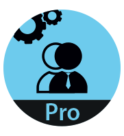 4D Team Developer Professional 15 (годовая техническая поддержка),