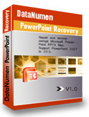 DataNumen PowerPoint Recovery 1.0