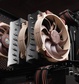 Кулер Процессорный Noctua CPU Cooler NH-D15 G2 LBC
