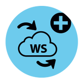 4D Web Services Expansion 15