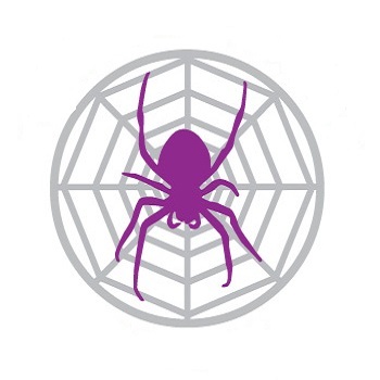 Спайдер Проджект Spider Project (лицензия Desktop Plus),