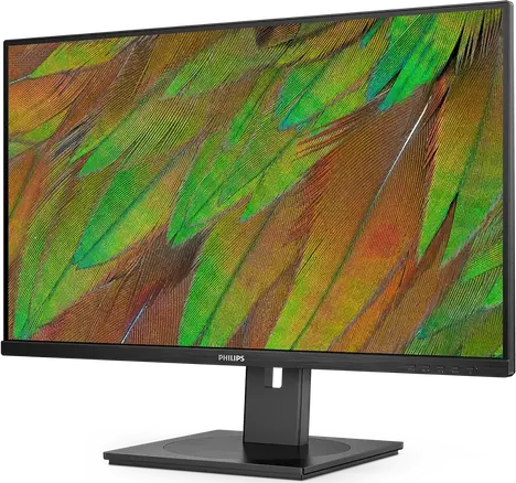 Монитор Philips 32B1N3800 31.5-inch черный