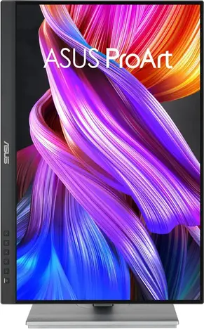 Монитор ASUS PA248CNV 24.1-inch