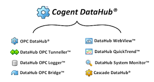Cogent Real-Time Systems Inc. Cogent DataHub (лицензия версии 10, включая 12 месяцев ТП + обновления),