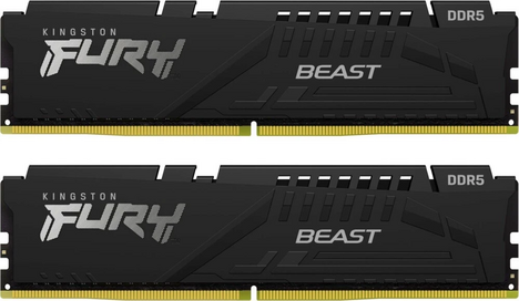 Оперативная память Kingston FURY Beast Black KF556C36BBE2K2-64, RTL