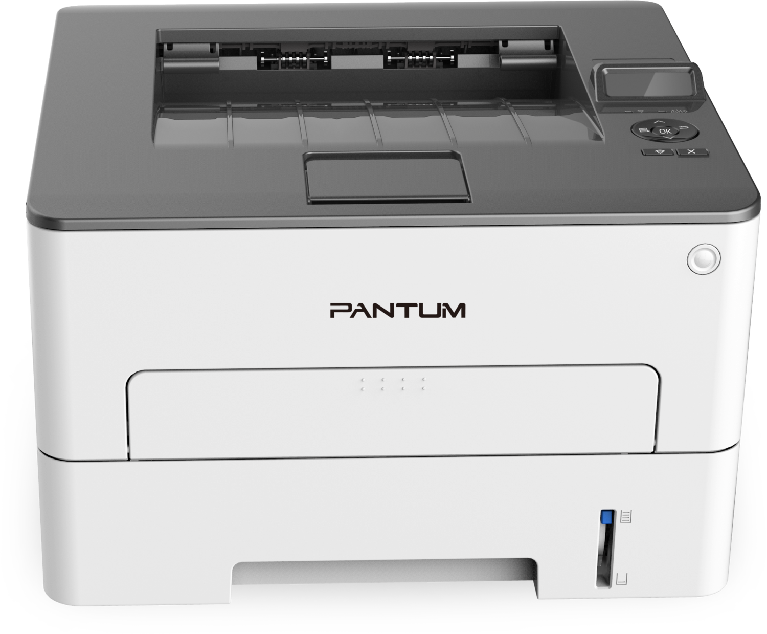 PANTUM P3010DW