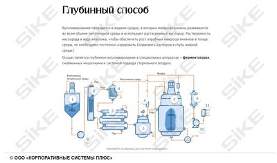 ООО «Корпоративные системы Плюс» Электронный курс Общая микробиология ГЛАВА 2, Метаболизм, культивирование и рост микроорганизмов (лицензия), базовая версия