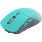 Мышь Raskat Мышь MG009WR, цвет зеленый