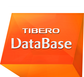TMaxSoft Tibero (лицензия RDBMS), Standard Edition User
