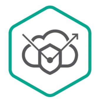 Kaspersky DDoS Protection (Certified media Pack),