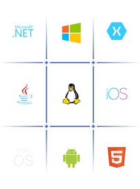 ORPALIS GdPicture.NET SDK (лицензия), Лицензия Site