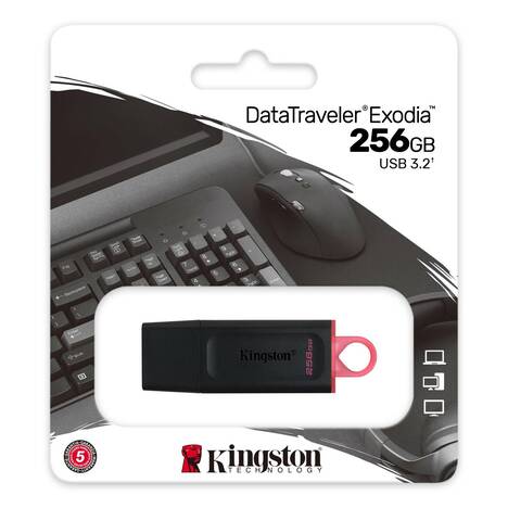 Флешка Kingston DataTraveler Exodia 256Gb