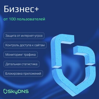 Контент-фильтр SkyDNS (тариф Бизнес+ на 12 месяцев), до 40 ПК